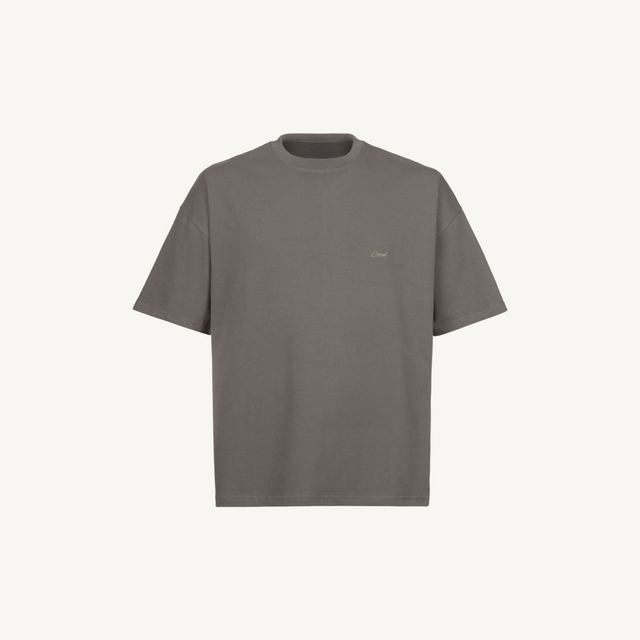 CITEDGT Pigment Grey Oversized Boxy Tee.