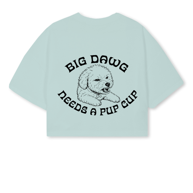 ANGRY ARCHIE Cold Blue Cropped Oversized Tee.