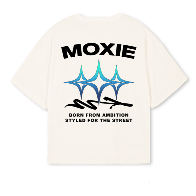 TRISTARBLUETEE Vintage White Oversized Boxy Tee.