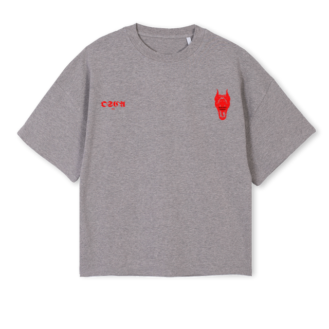 DOGDAYS Grey Marl Oversized Boxy Tee.