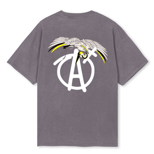APMBIRDTSHIRTPG Pigment Grey Oversized Tee.
