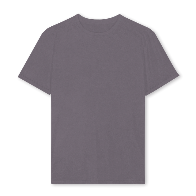 CARPE DIEM Pigment Grey Regular Tee.