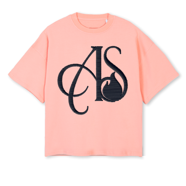 PIN Pink Clay Oversized Boxy Tee.