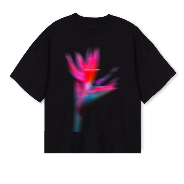 BIRDSOFPARADISEBLACK Black Oversized Boxy Tee.