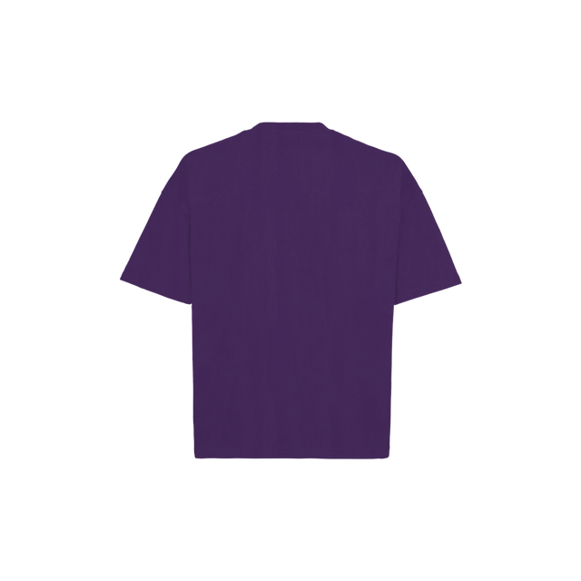 19-3628 TCX Vintage Acai Oversized Boxy Tee.