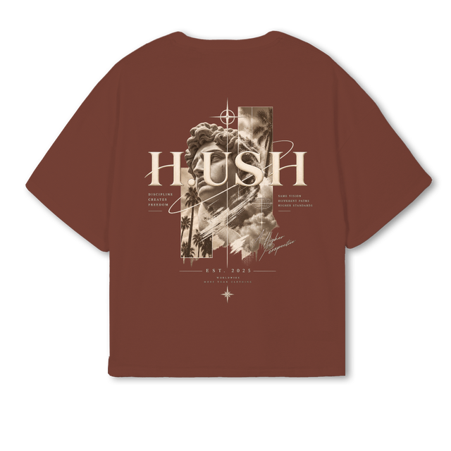 HUSH HIGHER Vintage Brown Oversized Boxy Tee.