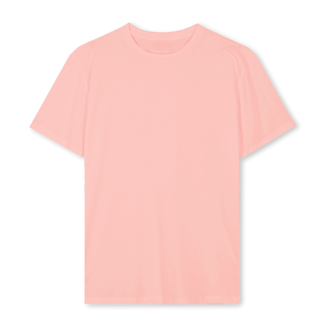 CHERR_P Pink Clay Regular Tee