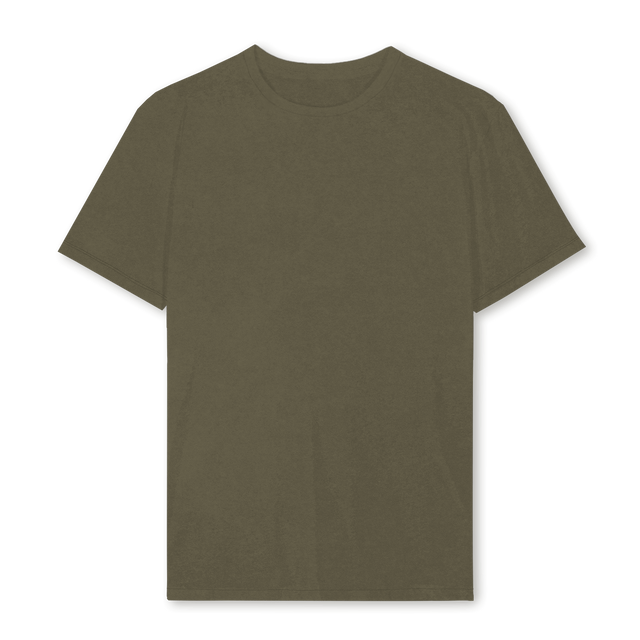 SDTHEROVINTOLIVEONEB Vintage Olive Regular Tee.