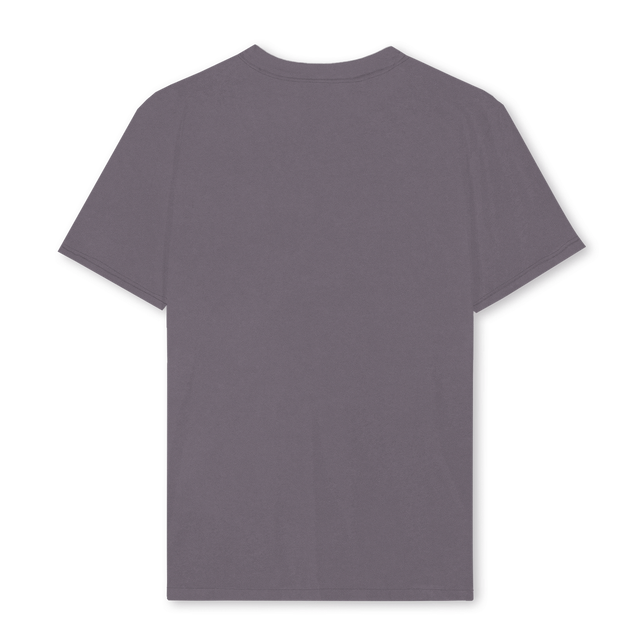 SPEZZFRONT Pigment Grey Regular Tee.