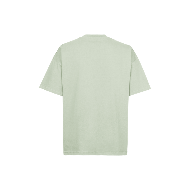 14-0114 TCX Vintage Celadon Green Oversized Tee.