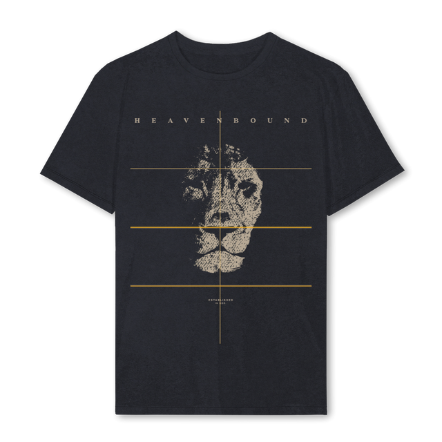 HBTIGERVERSONE Vintage Black Regular Tee.