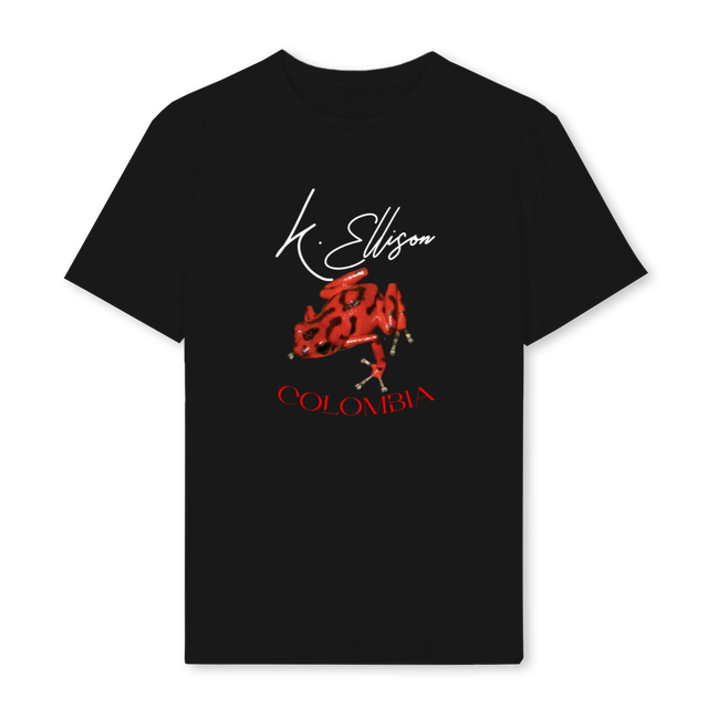 STANFROG Black Regular Tee.