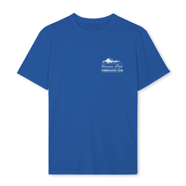 DISTRICT Cobalt Blue Regular Tee.