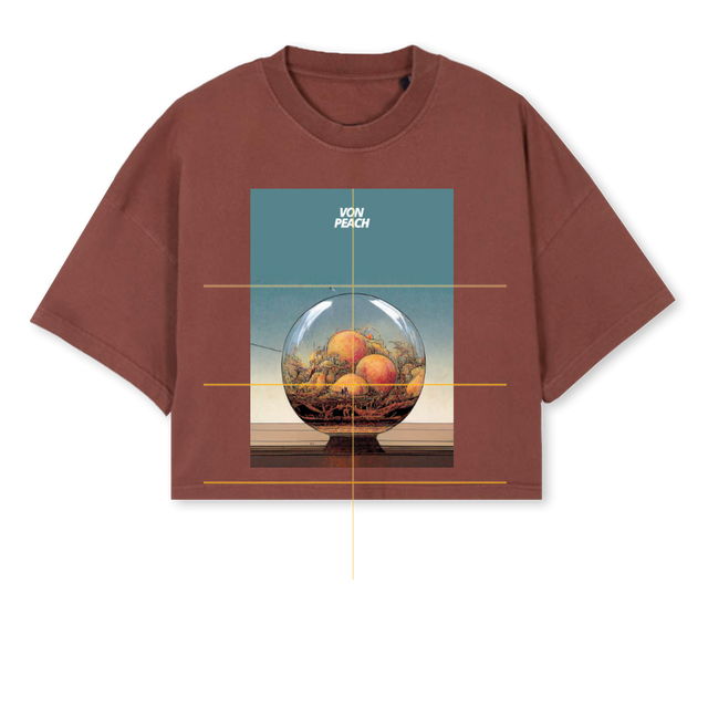 GLOBE Vintage Brown Cropped Oversized Tee.