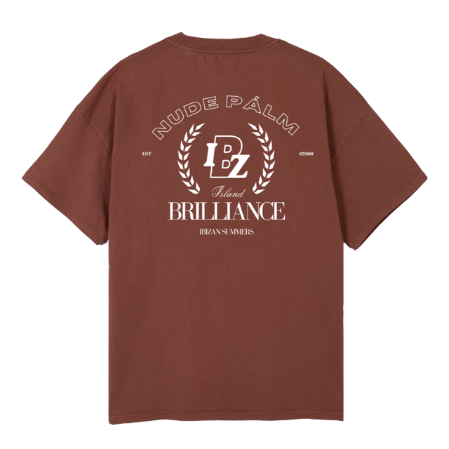 VINTAGEBROWNIBZ Vintage Brown Oversized Tee.