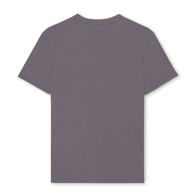PIGMENTGREYFORDRGLR Pigment Grey Regular Tee.