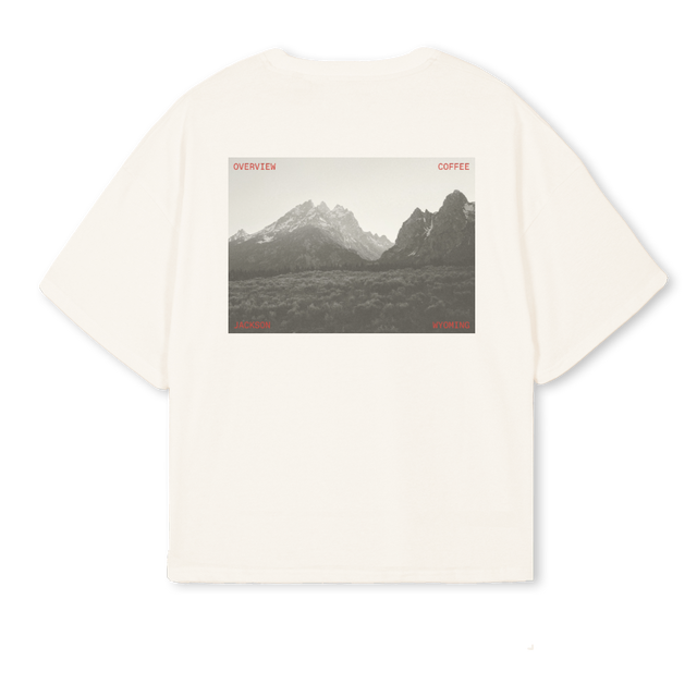 TETONTEE Vintage White Oversized Boxy Tee.