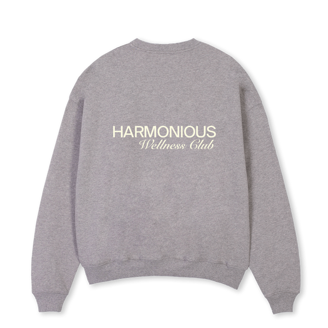 GREYWELLNESSSWEATER Grey Marl Oversized Crewneck Sweater.