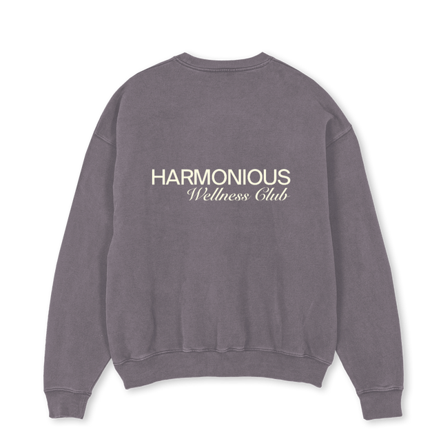 PIGMEWELLNESSSWEATER Pigment Grey Oversized Crewneck Sweater.