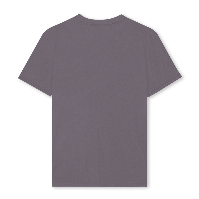 HERITAGESTATUESHIRT Pigment Grey Regular Tee.