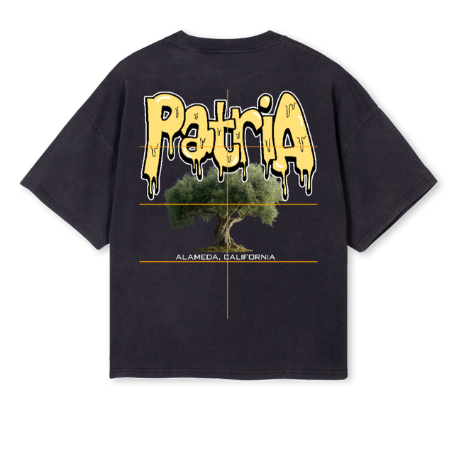 ALAMEDAOLIVETREE_2 Vintage Black Oversized Boxy Tee.