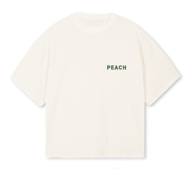 FRONTBACKGREENBLUE Vintage White Oversized Boxy Tee.