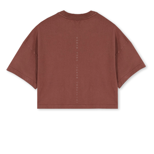 VADIS VINTANGE WOME Vintage Brown Cropped Oversized Tee.