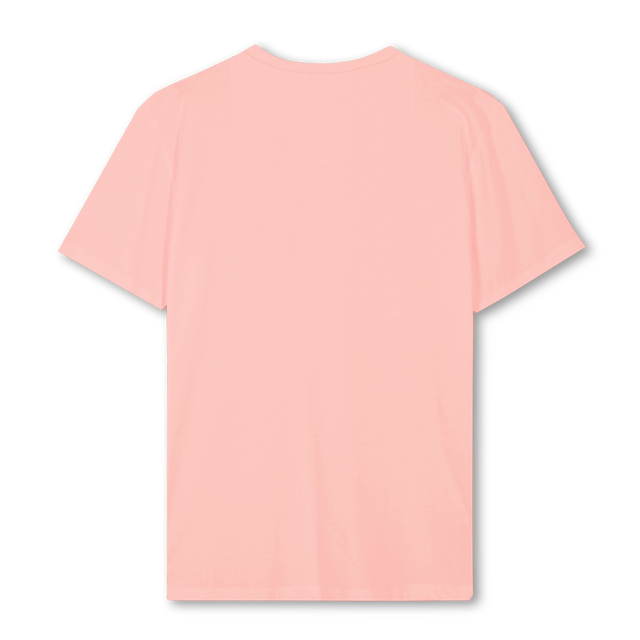 BAYGELEH Pink Clay Regular Tee.