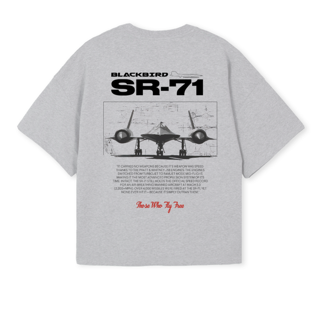 SR SEVENTY Light Grey Marl Oversized Boxy Tee.