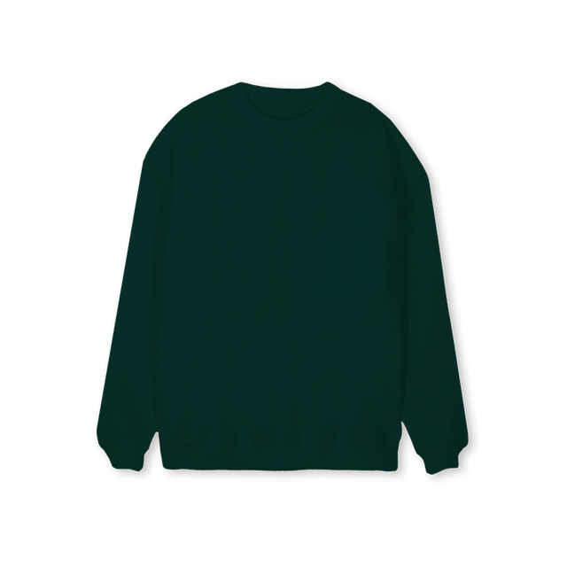 ROBERTO Wild Green Regular Crewneck Sweater.