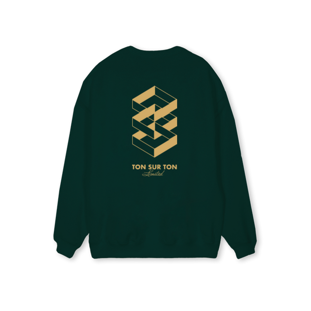 ROBERTO Wild Green Regular Crewneck Sweater.