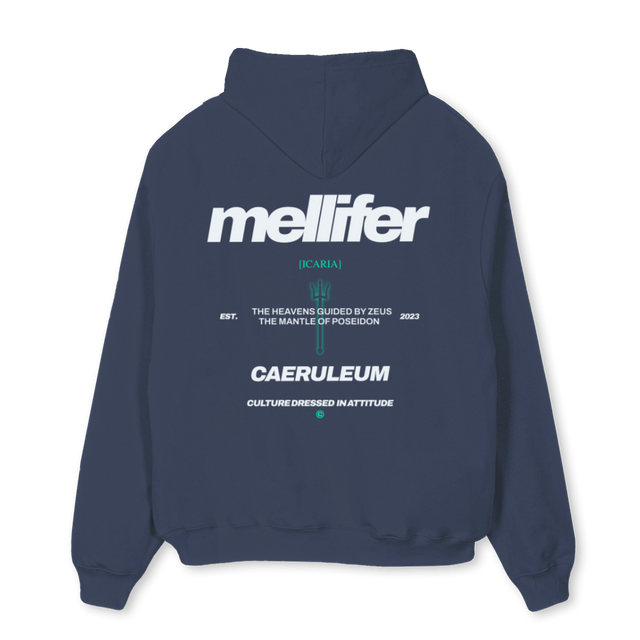 ICARIATRESB Navy Blue Oversized Hoodie.