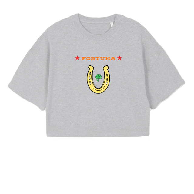 FORTUNACROPLIGHTGREY Light Grey Marl Cropped Oversized Tee.
