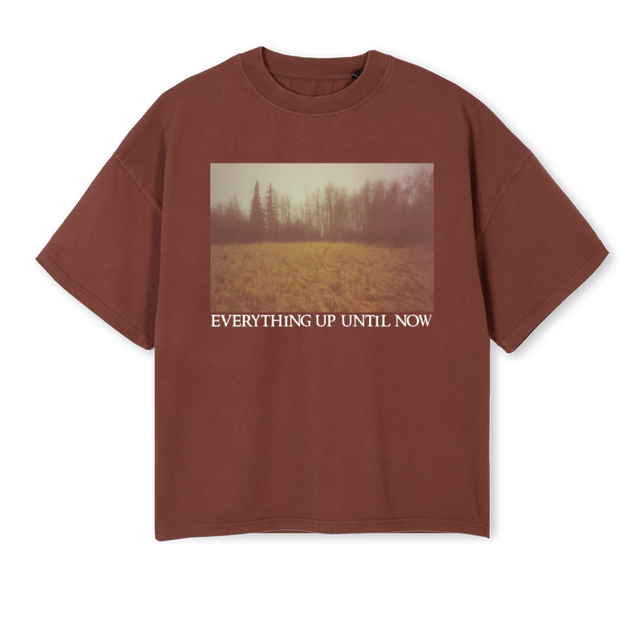 EVERYTHING Vintage Brown Oversized Boxy Tee.