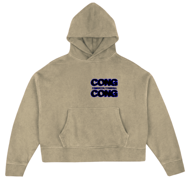 CARTESIAN II HODDIE  Vintage Dune Oversized Boxy Hoodie.
