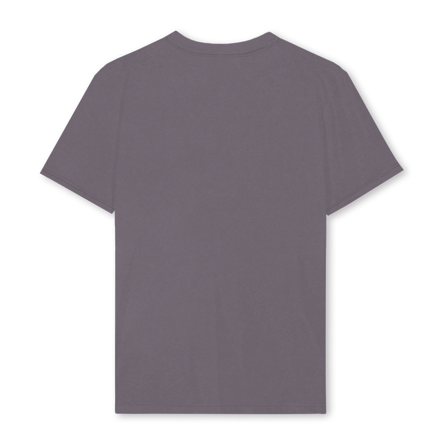 FLOWERRVRGREYTWO Pigment Grey Regular Tee.