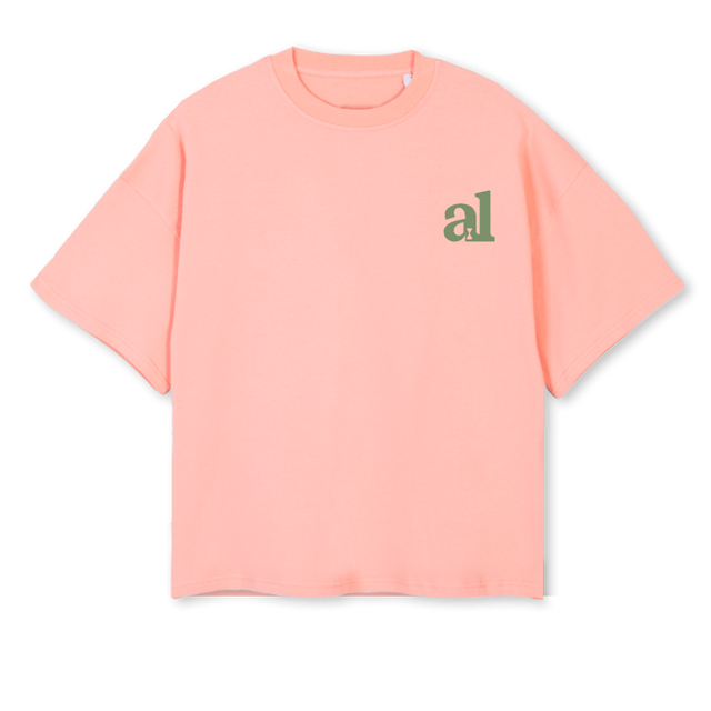 ROS PISTACHO Pink Clay Oversized Boxy Tee.