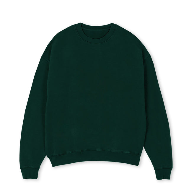 Wild Green Oversized Crewneck Sweater.