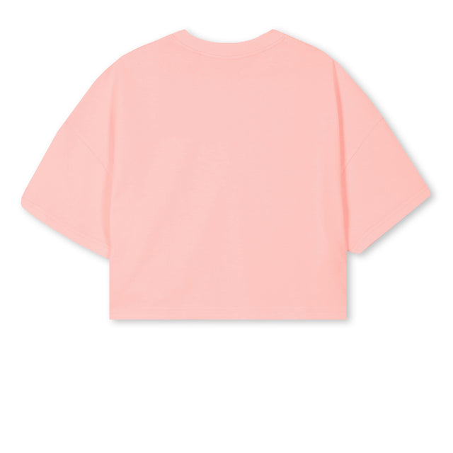 Pink Clay Cropped Oversized Tee.