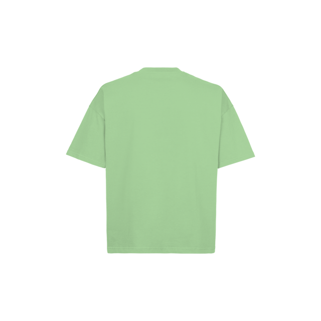 13-0221 TCX Pistachio Green Oversized Boxy Tee.