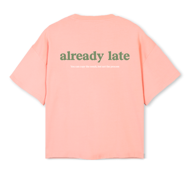 ROS PISTACHO Pink Clay Oversized Boxy Tee.
