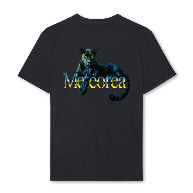 PANTHERBLACK Vintage Black Regular Tee.