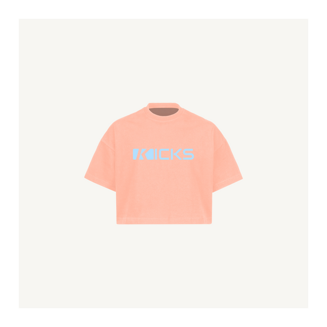 Kickcrop Pink Clay Cropped Oversized Tee.