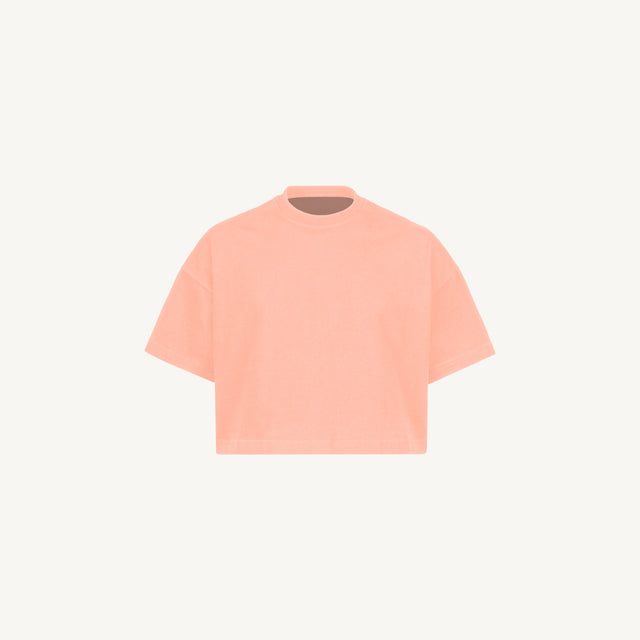 Pink Clay Cropped Oversized Tee Mockups.