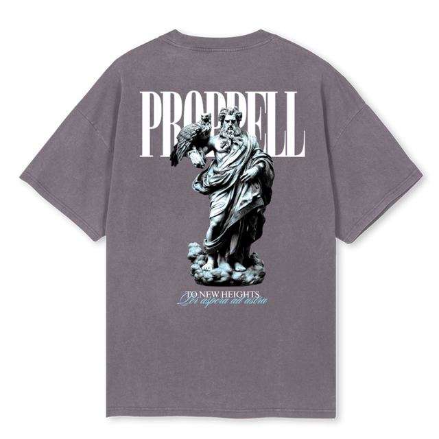 ZTNH_PG Pigment Grey Oversized Tee
