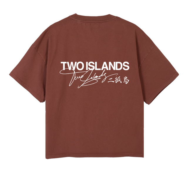 TIBLACKSIGLOGO Vintage Brown Oversized Boxy Tee.