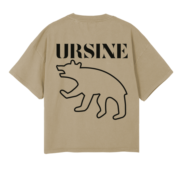 ORIGINBEAR_VD Vintage Dune Oversized Boxy Tee.