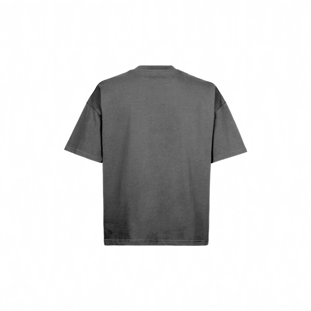 19-3901 TCX Vintage Magnet Oversized Boxy Tee.