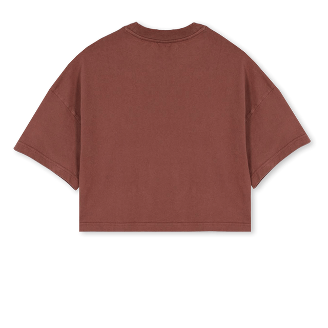 ADWBOXLOGOBG Vintage Brown Cropped Oversized Tee