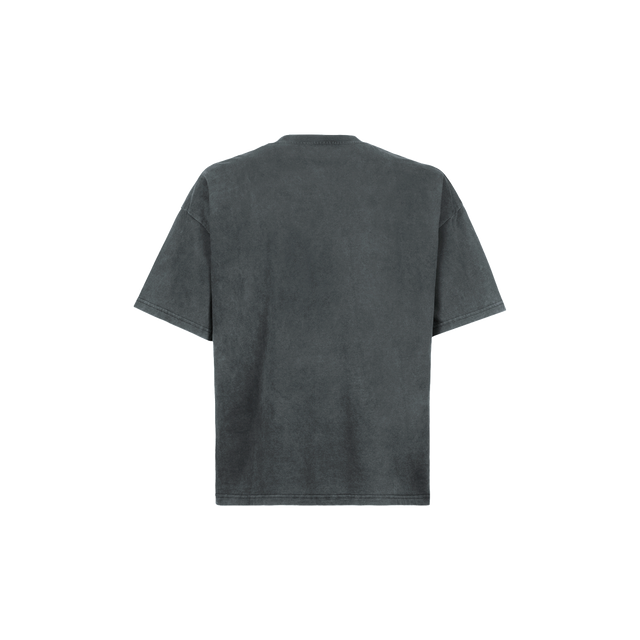18-4004 TCX Vintage Poppy Seed Oversized Boxy Tee.